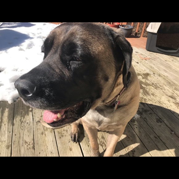 Meet your Posher, Michelle-lynn - Picture 1 of 1